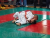 gk1_1_192