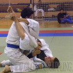 Gi Grappling