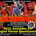 Az Amatőr Küzdősport Gála plakátja