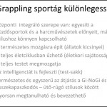 Egy újabb dia a prezentációból