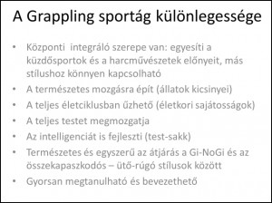 Egy újabb dia a prezentációból