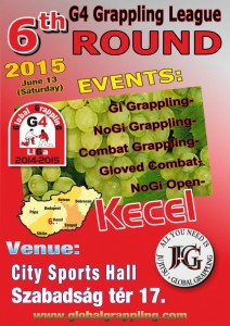 Poster of the Championship