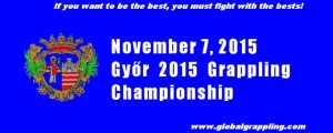 Banner of the Chamionship