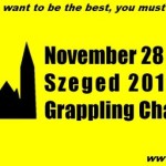Banner of the Chamionship
