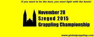 Banner of the Chamionship