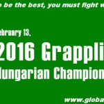 Banner of the Hungarian Chamionship