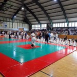 gyv19_n06