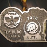 TEK 2016 évi Budo és Küzdősport Gála