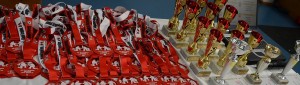 Győr 2016 Grappling Bajnokság