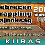 2017-GB_2017.02.18_wp_featured_kiir