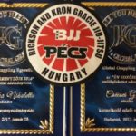 Szmolka Nikoletta és Csécsei Gergő plakettje