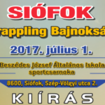 2017-GB_2017.07.01wp_featured_kiir
