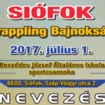 2017-GB_2017.07.01_wp_featured_nev