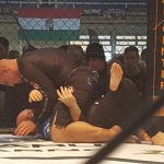 Küzdelem a ketrecben