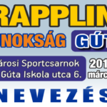 2018 – 03.24. – 06_Fordulo_Guta_wp_featured_nev640x360