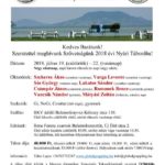 Nyari_Tabor_2018_plakat
