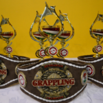 A Felnőtt Döntőn megnyerhető övek és kupák