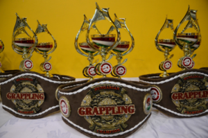 A Felnőtt Döntőn megnyerhető övek és kupák