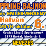 Poster- A4 – (2018-s02) -F- 01. – Fordulo_HATVAN_Wp_Featured_Nev640x360