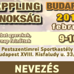 Poster- A4 – (2018-2018-s02) -F- 04. – Fordulo_BPest_Wp_Featured_Nev640x360