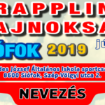Poster- A4 – (2018-2018-s02) -F- 05. – 08. – Fordulo_Siofok_Wp_Featured_Nev640x335