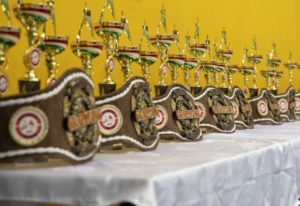 A Felnőtt Döntőn megnyerhető övek és kupák