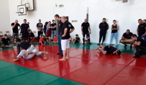 NoGi mérkőzések a figyelem kereszttüzében