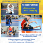 A verseny plakátja