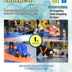 F- 01. – GB_Budapest_febr_08_Plakat_640